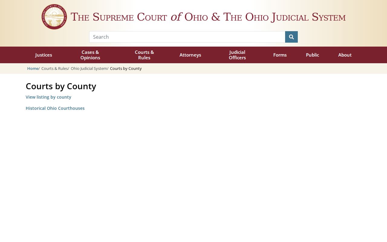 Ohio trial courts directory for Vinton County civil court routing